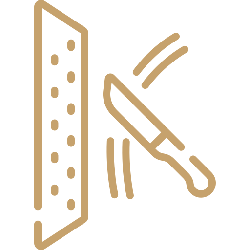 Feature 1 Icon