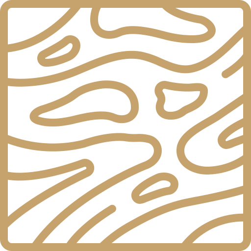 Feature 1 Icon